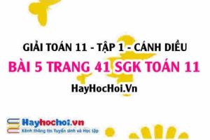Giải bài 5 trang 41 Toán 11 tập 1 SGK Cánh Diều